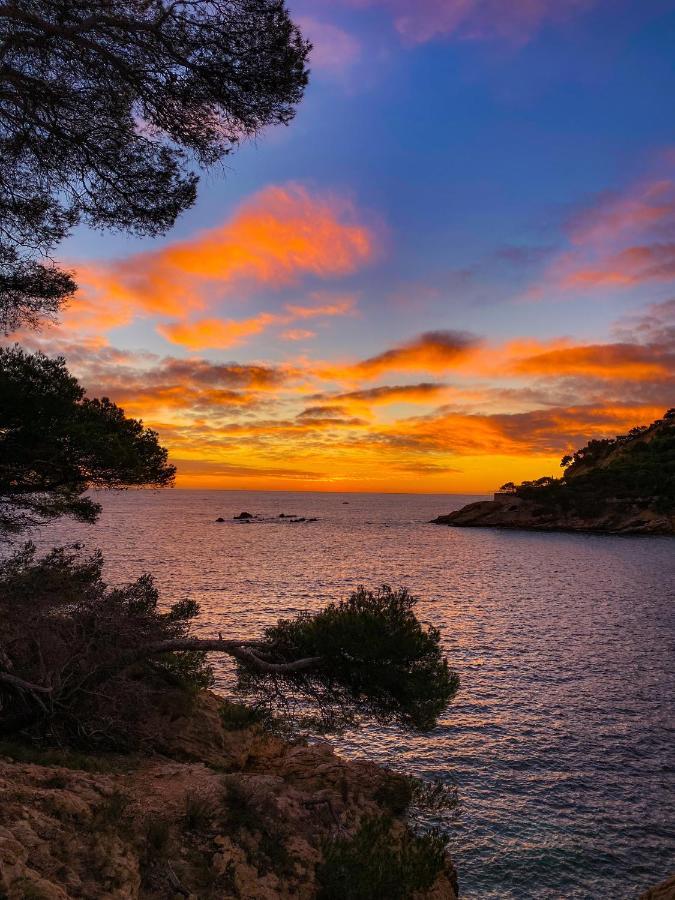 Appartement Au Calme, Calanque Des Figuieres Ensues-la-Redonne Exterior foto